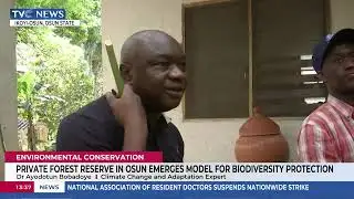 Private Initiative Tackles Deforestation, Climate Change In Nigeria