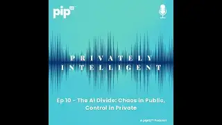 Privately Intelligent Ep10: The AI Divide: Chaos in Public, Control in Private