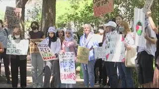 Pro-Palestine rally draws crowd