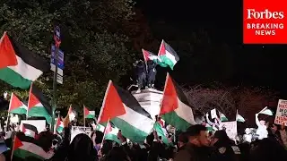Pro-Palestinian Protesters Demonstrate In New York City