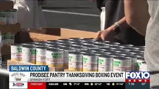 Prodisee Pantry boxes food for Thanksgiving