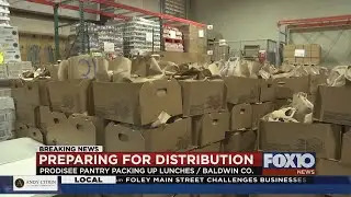 Prodisee Pantry emergency food distribution