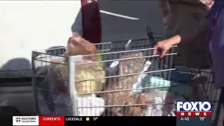 Prodisee Pantry holds final Christmas food distribution