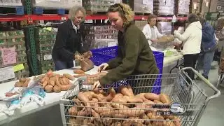 Prodisee Pantry Prepares for Thanksgiving Push