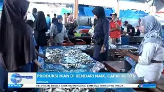 PRODUKSI IKAN DI KENDARI NAIK, CAPAI 30 TON