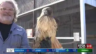PROFESSIONAL NEWS PKG EXAMPLE - NATIONAL BIRD DAY