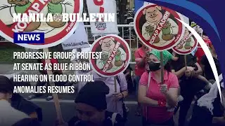 Progressive groups protest at Senate as Blue Ribbon hearing on flood control anomalies resumes