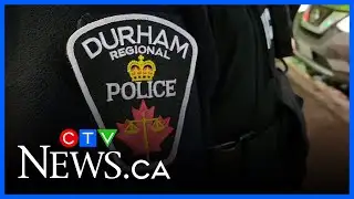 ‘Project Egypt’ disrupts auto theft trafficking ring in Toronto