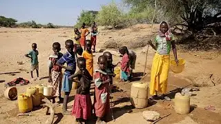 Prolonged drought in Kenya leaves millions vulnerable