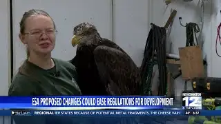 Proposed changes to the Endangered Species Act sparks debate