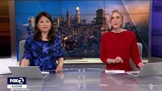 Protecting Our Local Business Community - FOX 2 News