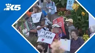Protests growing in Chicago as ICE activities ramp up