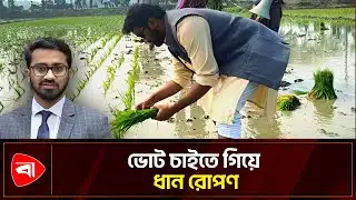কৃষকের সঙ্গে ধান রোপণ রাশেদের | Protidiner Bangladesh