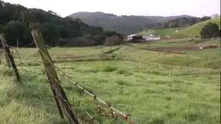 Pt 1 - Joel Salatin in Petaluma 2010