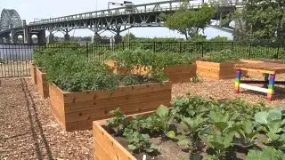 Public community garden opens in Burlington County