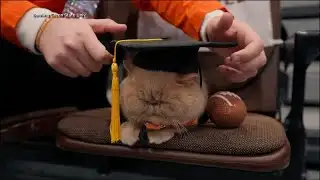 Pudge the Cat graduates with honors from Bowling Green State University