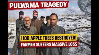 Pulwama Tragedy Strong Winds Destroy 1100 Apple Trees, Farmer Suffers Massive Loss