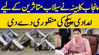 Punjab Cabinet Approves Relief Package for Flood Victims | Dawn News