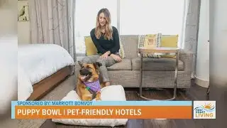 Puppy Bowl | Pet-Friendly Hotels