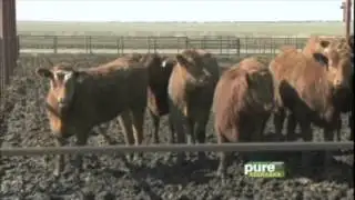 Pure NE  Joan about Hormones Apr 15