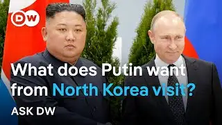 Putin and Kim: Who needs whom more? | Ask DW