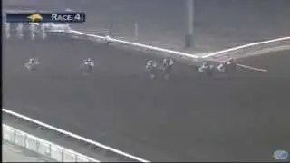 Q-Racing News - June 19, 2014