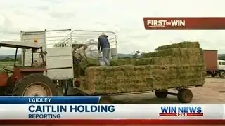 Qld Drought Coverage: Hay Drive (Part 1) - WIN News Rockhampton (2013)
