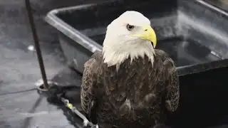 Quad Cities environmentalists push back on proposed development