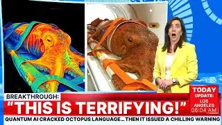 Quantum AI Cracked Octopus Language… Then It Issued a Chilling Warning