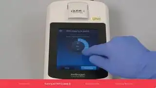 Qubit 4 Fluorometer: Accurate RNA Quantitation and Quality