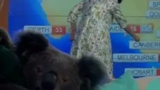 Quirky Katy Perry does weather