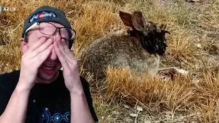 Rabbits Are Growing Tentacles - REACTION
