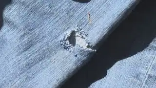 Rabid fox attacks Guilford County man