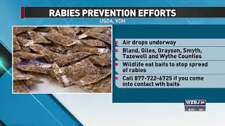 Rabies Prevention Effort Underway