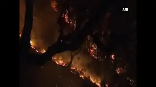 Raging fire brought under control in Shimla cemetery