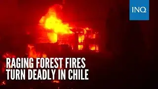 Raging forest fires turn deadly in Chile