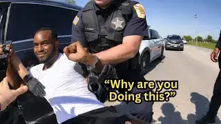 Raging Sovereign Citizen Refuses License—Reality Check Comes Fast