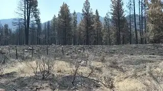 Rains may wreak havoc on burn areas left after Forsyth Fire in southern Utah