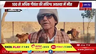 Raisinghnagar News | गौशाला प्रबंधन पर लापरवाही का आरोप, 100 से अधिक गौवंश की संदिग्ध अवस्था में मौत