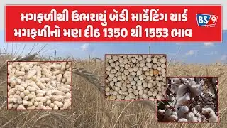 Rajkot APMC | કપાસ-તુવેરની આવકથી માર્કેટિંગ યાર્ડ ઉભરાયું, ખેડૂતોને મળ્યાં આટલા ભાવ! | BS9 TV NEWS
