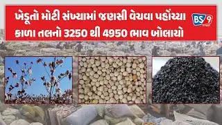 Rajkot APMC | યાર્ડમાં કપાસ,સીંગફાડા, તુવેરની આવક, કોબીના ભાવ 68 થી 125 રહ્યા | BS9 TV NEWS