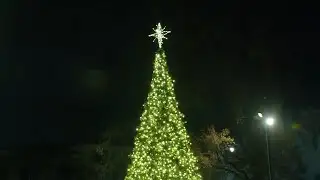 Raleigh Tree Lighting on ABC11