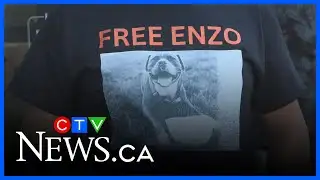 Rally to save B.C. dog on death row