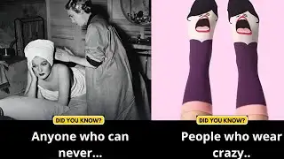 Random Facts you should know #2771 //  Facts All Day