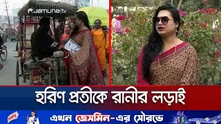 রানী, একমাত্র তৃতীয় লিঙ্গ প্রার্থী; লড়ছেন রংপুর-৩ আসনে | Rangpur Third gender | Jamuna TV
