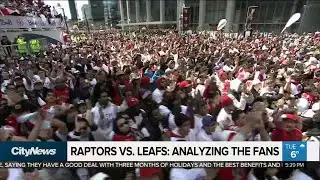 Raptors vs. Leafs: Analyzing the fans