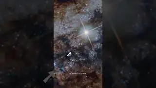 Rare Footage of a Supernova Explosion that Happened in Centaurus A
