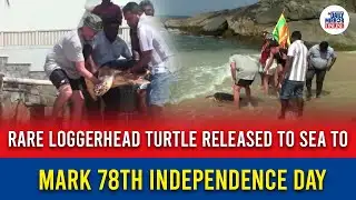 Rare Loggerhead Turtle Released to Sea to Mark 78th Independence Day