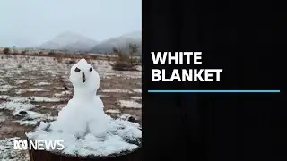 Rare snowfall transforms SA