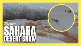 Rare Snowfall Transforms Sahara Desert Dunes